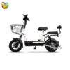 X1 ELECTRIC SCOOTER